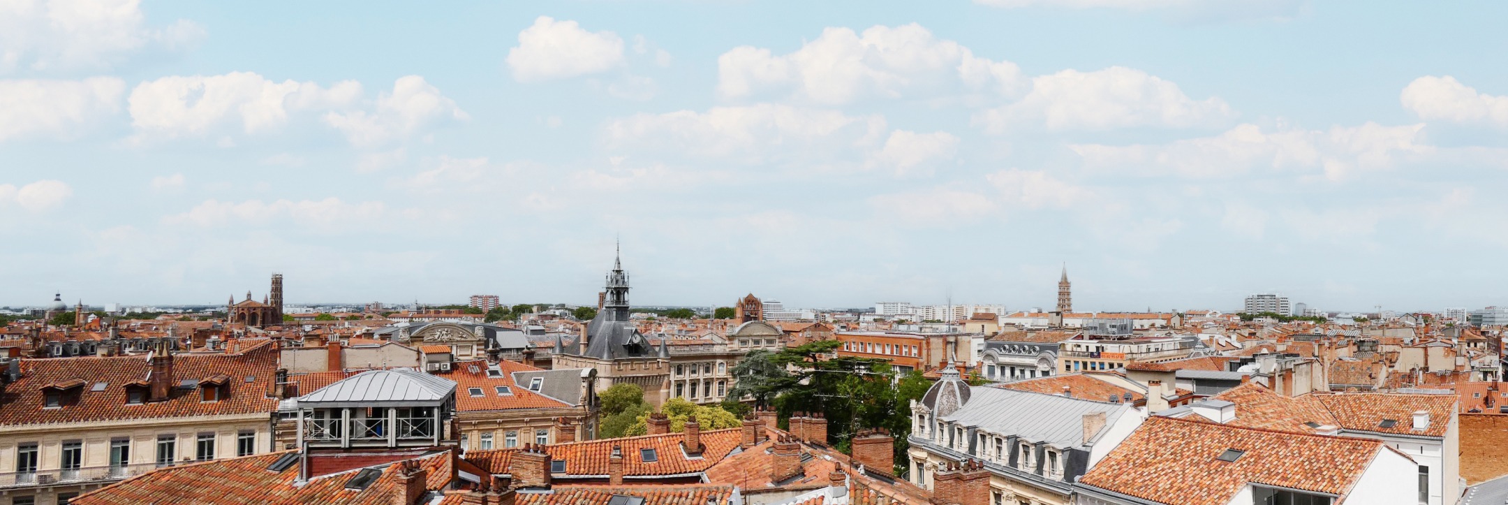 Vue panoramique de Toulouse la ville rose